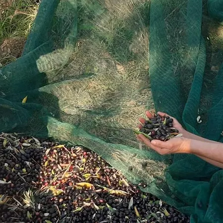 Farm stay Gli Antichi Sapori - Con Stazione Di Ricarica Veicoli Elettrici *