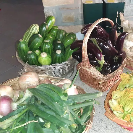 Gli Antichi Sapori - Con Stazione Di Ricarica Veicoli Elettrici * Vatolla