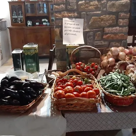 Gli Antichi Sapori - Con Stazione Di Ricarica Veicoli Elettrici Farm stay Vatolla