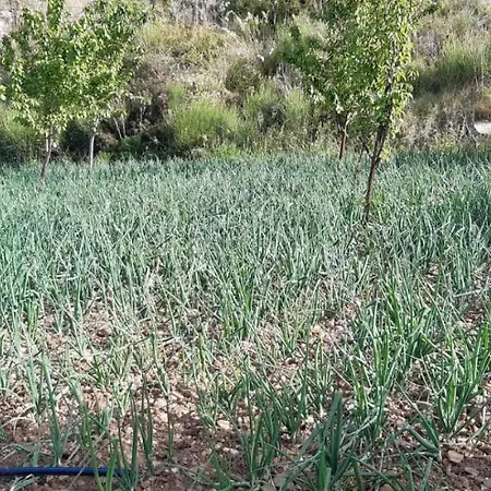 Gli Antichi Sapori - Con Stazione Di Ricarica Veicoli Elettrici Farm stay