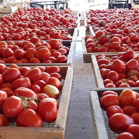 Farm stay Gli Antichi Sapori - Con Stazione Di Ricarica Veicoli Elettrici