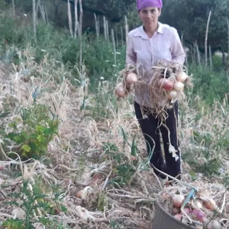 Gli Antichi Sapori - Con Stazione Di Ricarica Veicoli Elettrici