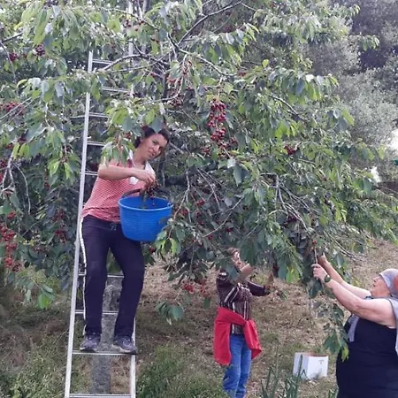 Farm stay Gli Antichi Sapori - Con Stazione Di Ricarica Veicoli Elettrici