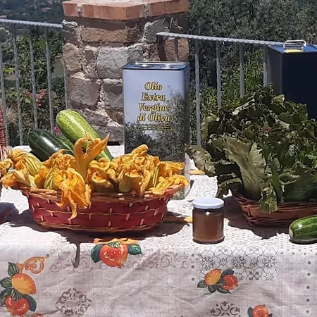 Farm stay Gli Antichi Sapori - Con Stazione Di Ricarica Veicoli Elettrici Vatolla