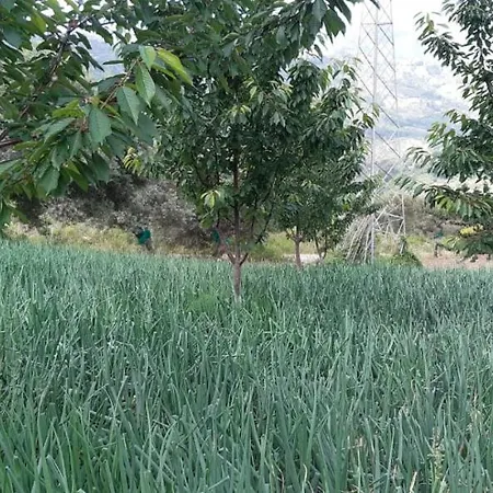 Gli Antichi Sapori - Con Stazione Di Ricarica Veicoli Elettrici *