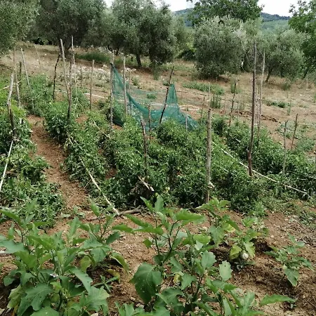 Gli Antichi Sapori - Con Stazione Di Ricarica Veicoli Elettrici Vatolla