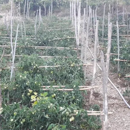 Farm stay Gli Antichi Sapori - Con Stazione Di Ricarica Veicoli Elettrici