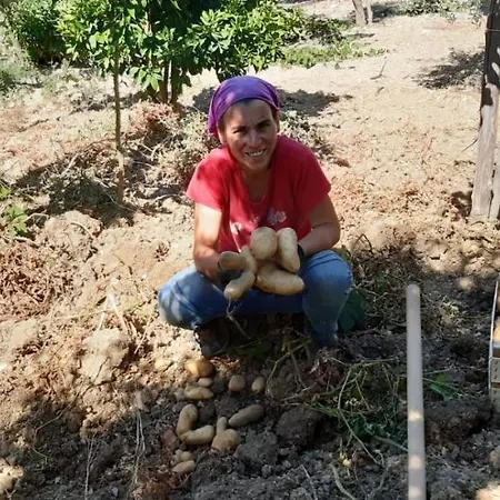 Gli Antichi Sapori - Con Stazione Di Ricarica Veicoli Elettrici Farm stay *