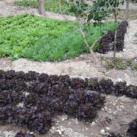 Farm stay Gli Antichi Sapori - Con Stazione Di Ricarica Veicoli Elettrici *