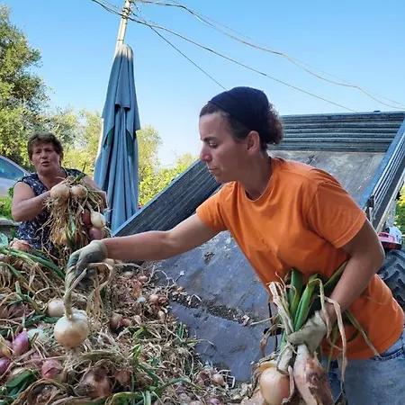 Gli Antichi Sapori - Con Stazione Di Ricarica Veicoli Elettrici *